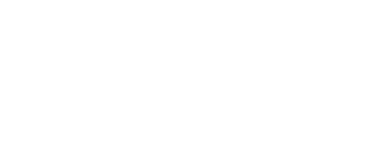 RBI Rede Brasil Inova